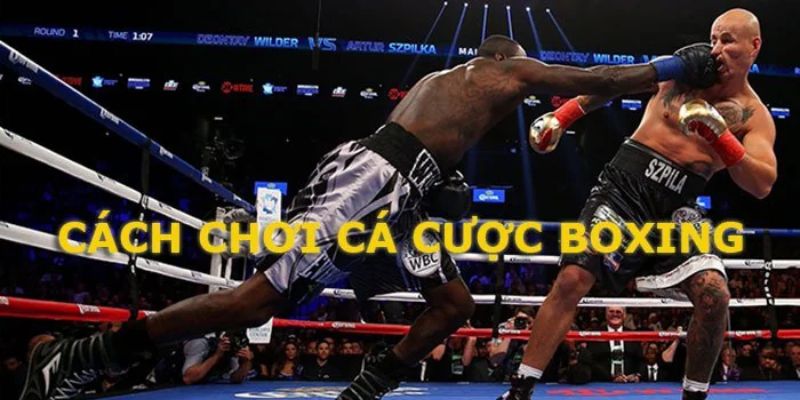 Giới thiệu đôi nét về trò chơi cá cược Boxing